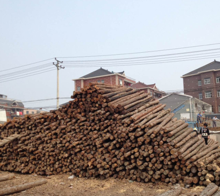 打桩木（2-8米松木桩）